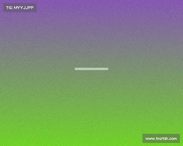 维萨预计将于周二回归布伦特福德训练并恢复备战